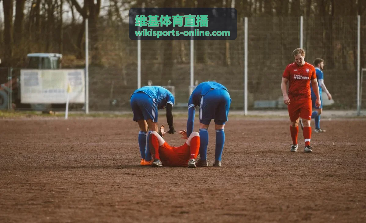 维基体育直播数据面板